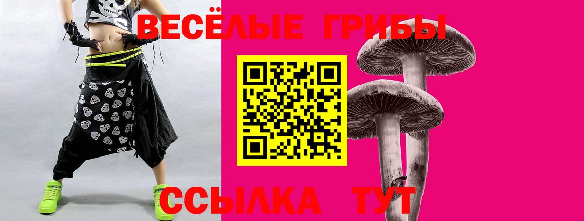 Заволжье  Галлюциногенные грибы Psilocybe  Псилоцибиновые грибы Psilocybe  Вход с VPN 